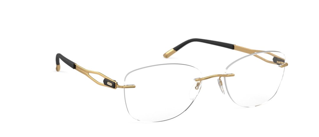 Occhiali silhouette deals 2019