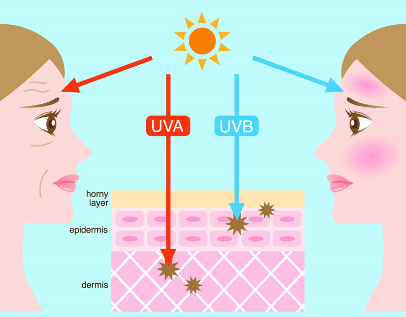 Cosa sono i raggi uva e uvb